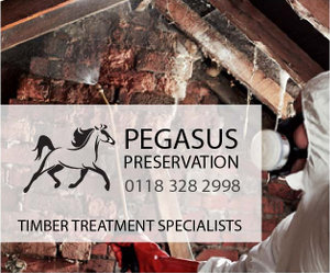 Pegasus Timber Treatment Specialists